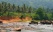 elephants fleuve sri lanka