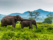 elephants parc national minneriya sri lanka