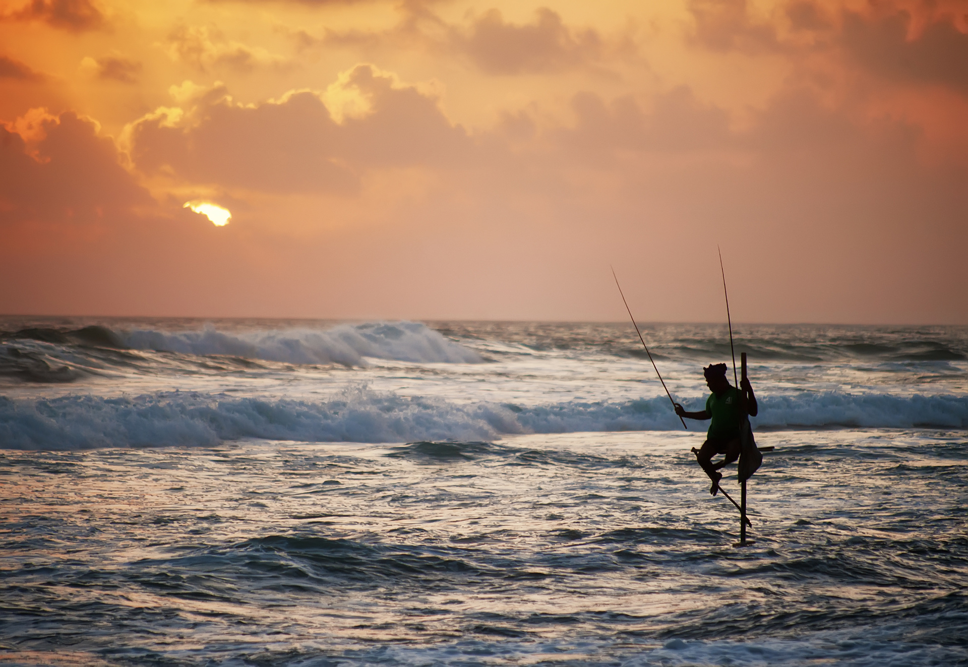 pecheur perche sri lanka