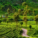 nature-sri-lanka