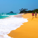 couple plage sri lanka palmiers