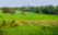 Ferme au Sri Lanka