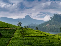 pic adam sri lanka