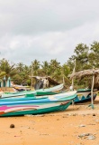 plage negombo bateaux