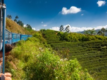 plantation train nuwara eliya