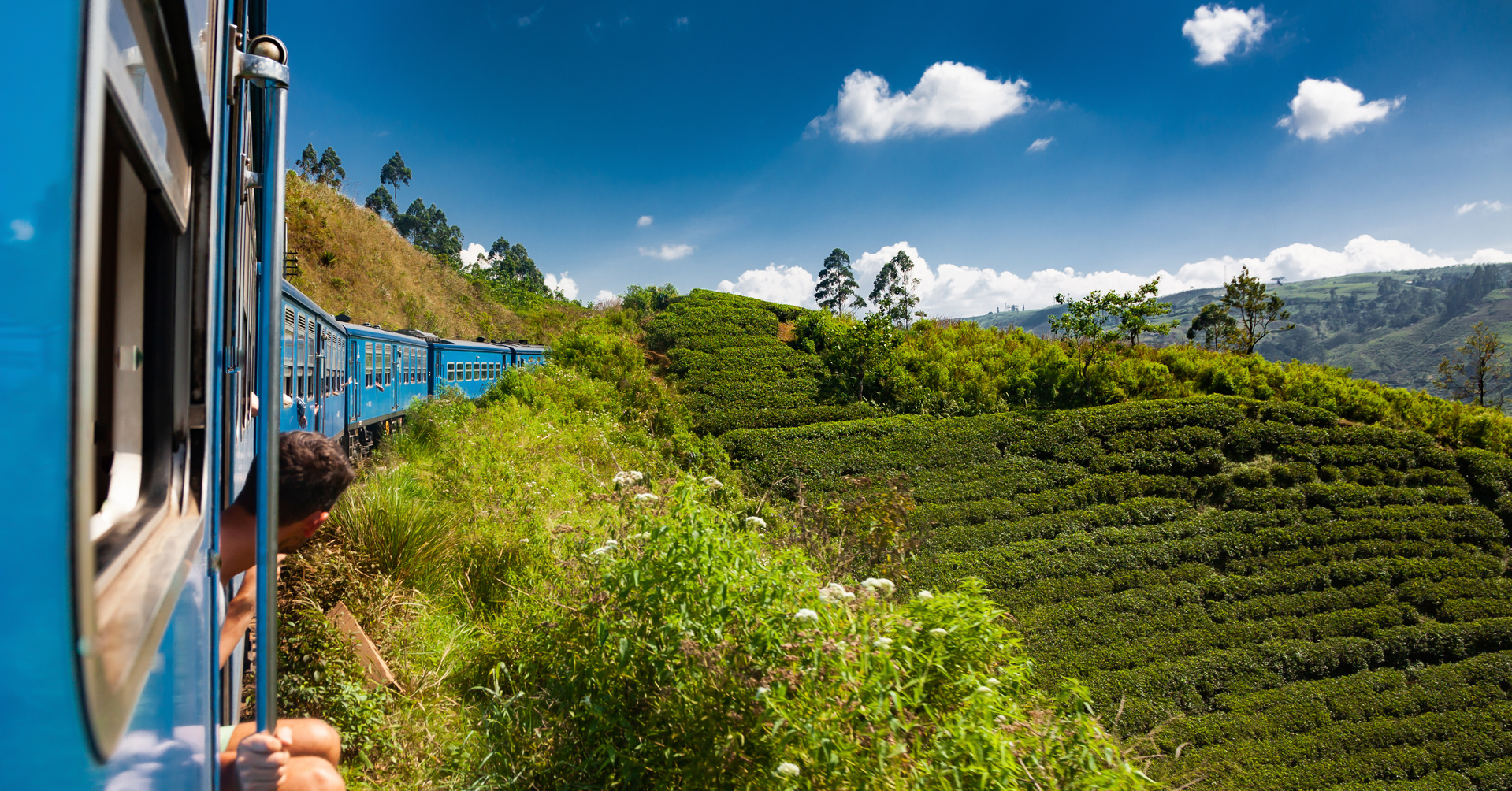 plantation train nuwara eliya