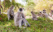 singe famille sri lanka