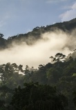 sinharaja reserve naturelle parc national