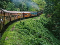 train kandy foret sri lanka