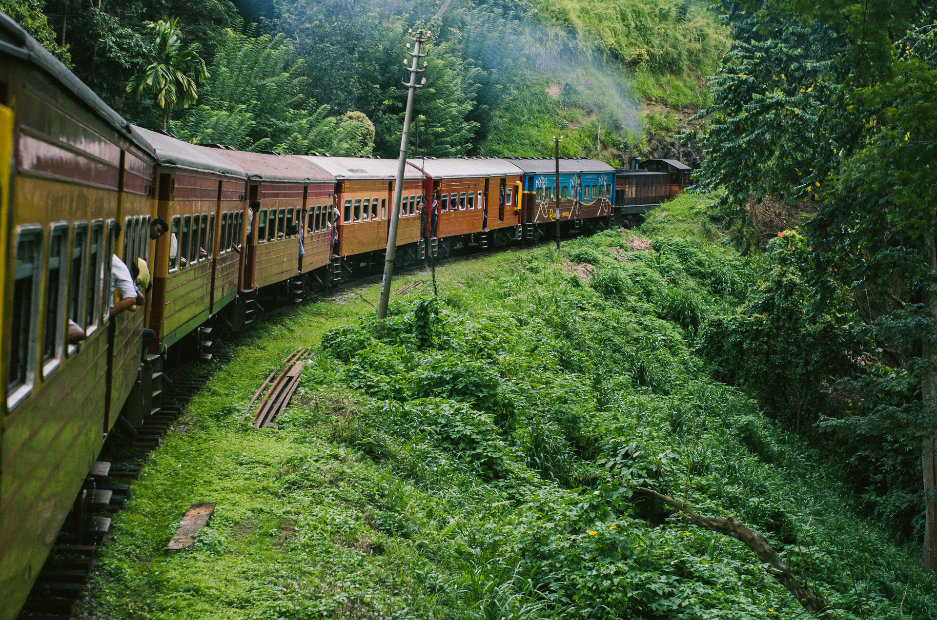 train kandy foret sri lanka