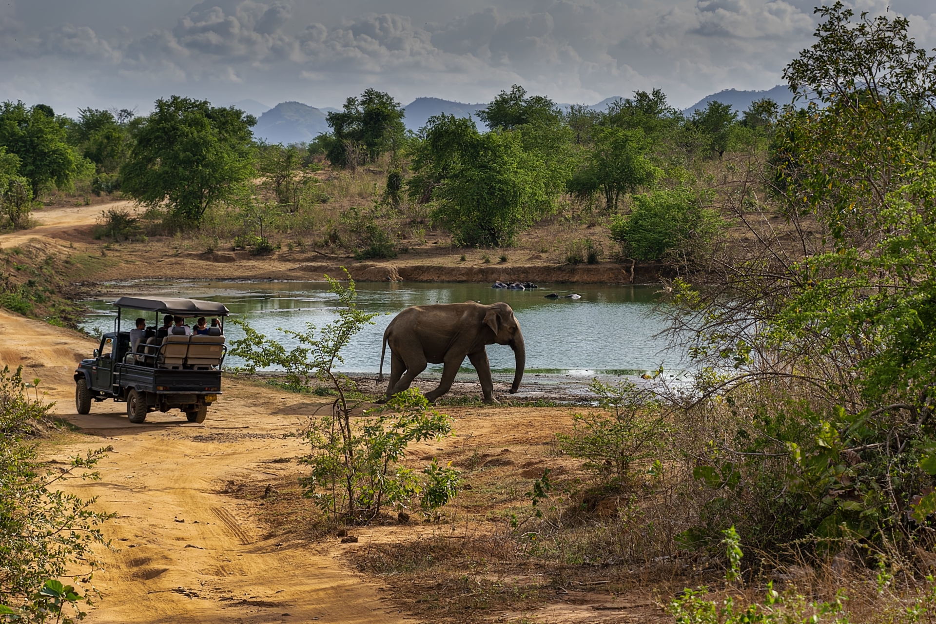 elephants-nature-safari