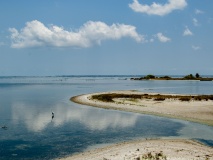 ile delft peninsule jaffna