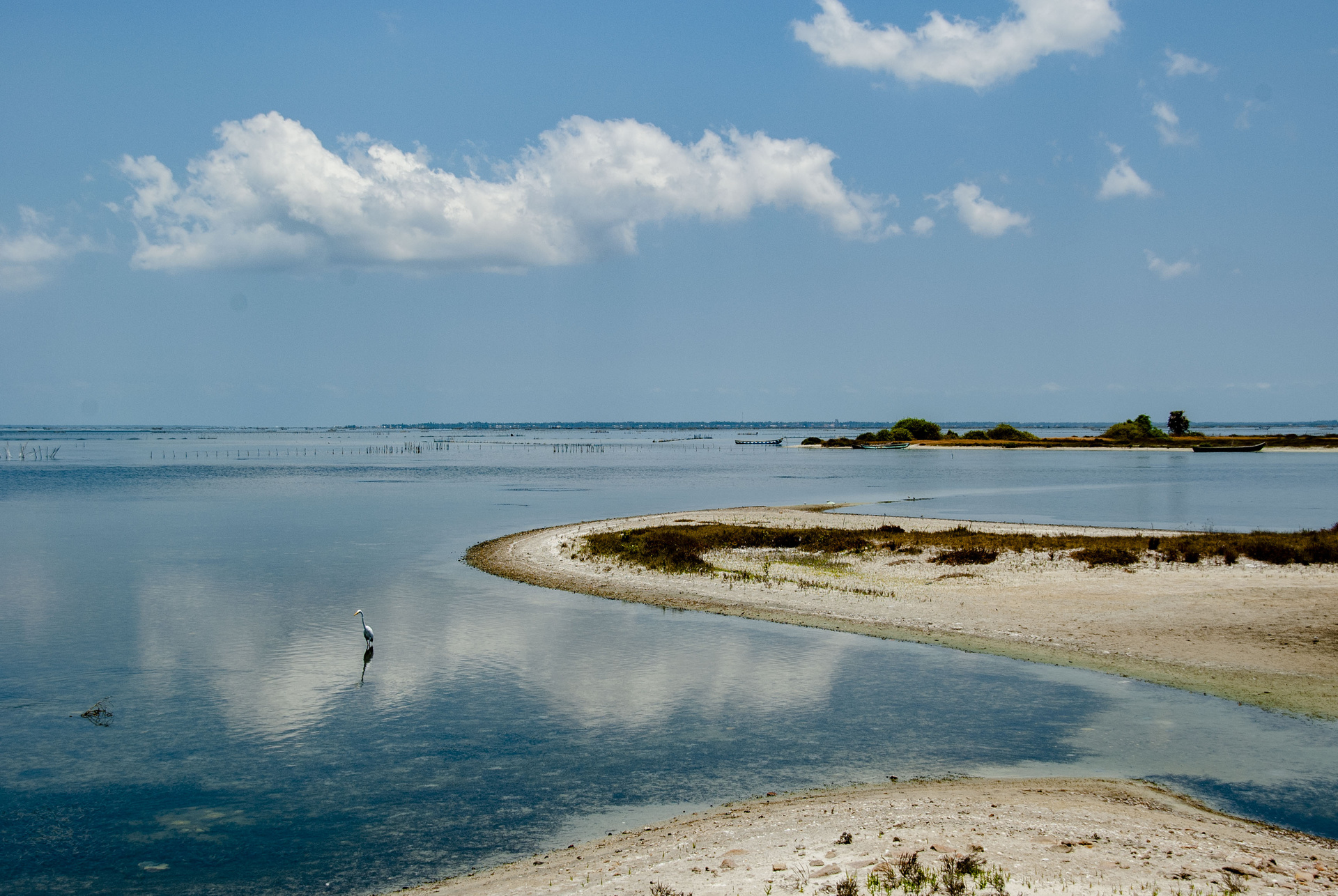 ile delft peninsule jaffna