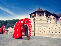 kandy temple