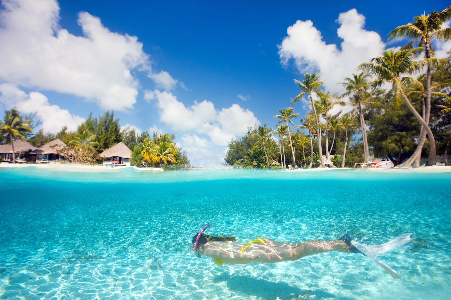 maldives plongée
