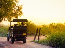 Safari udawalawe