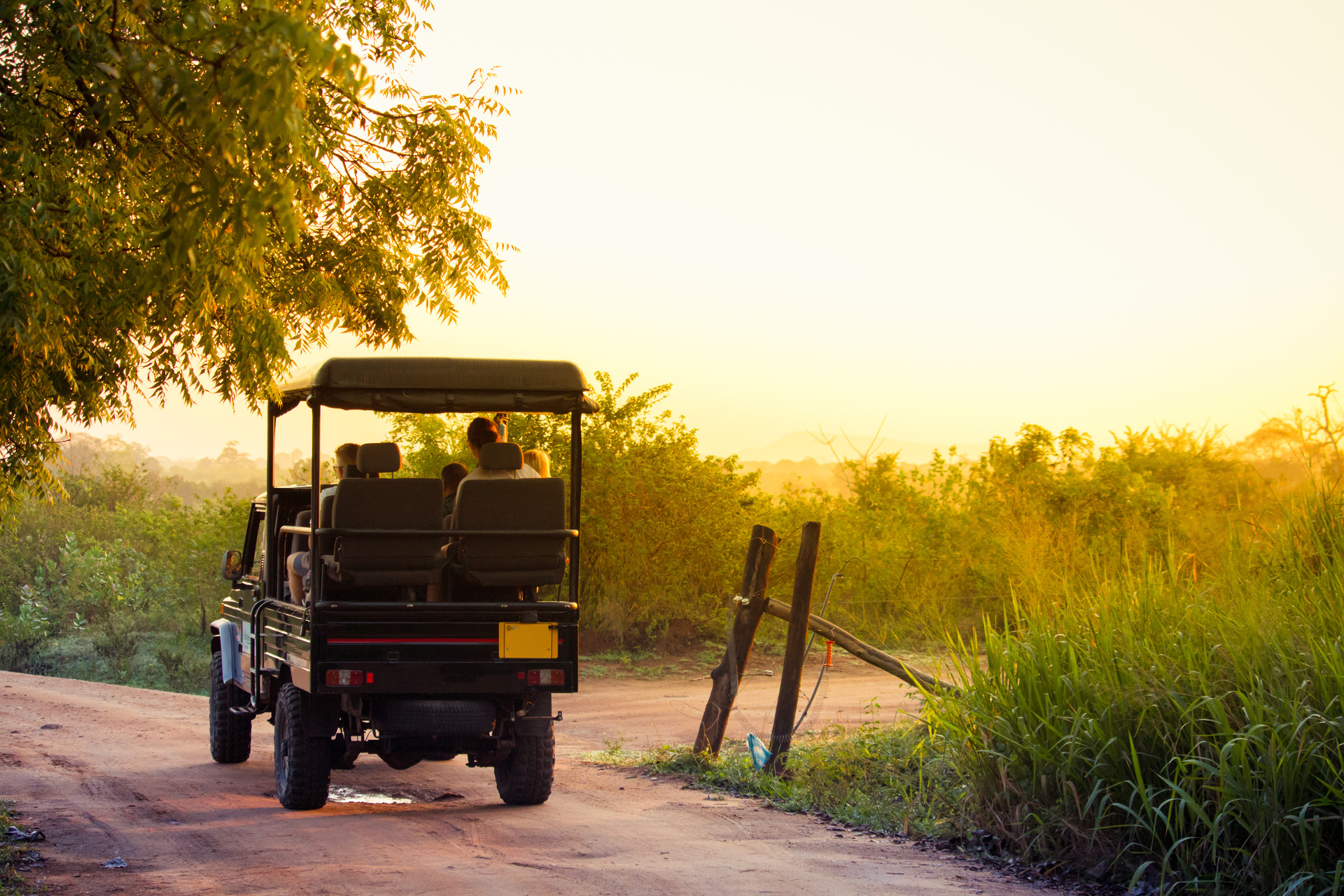 Safari udawalawe