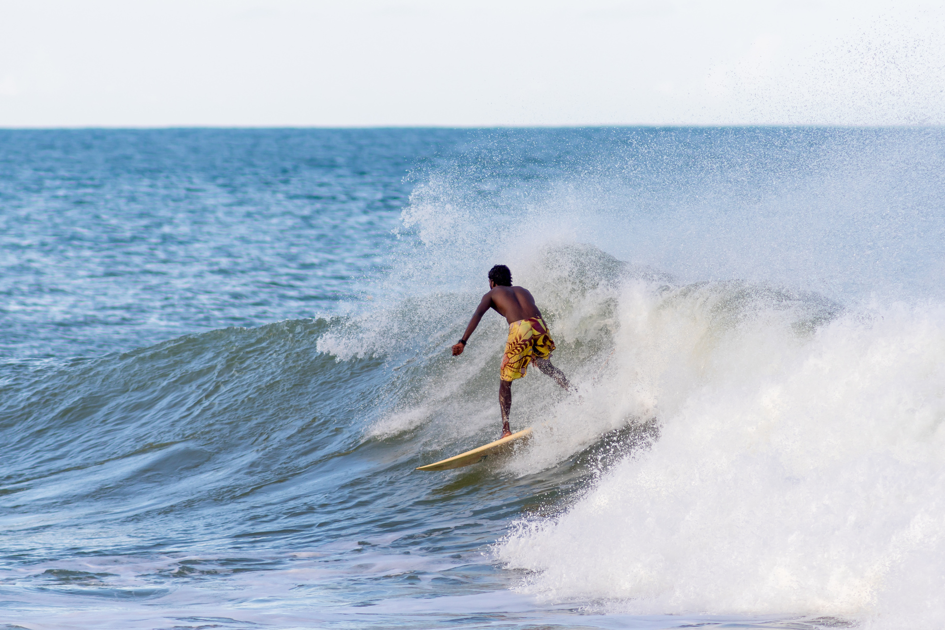 surf arugam bay