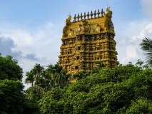 temple hindou jaffna