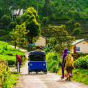 sri-lanka-tuktuk-rizieres-communaute