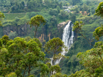 Devon Falls