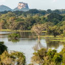 kandalama-sri-lanka