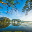 lac-sri-lanka