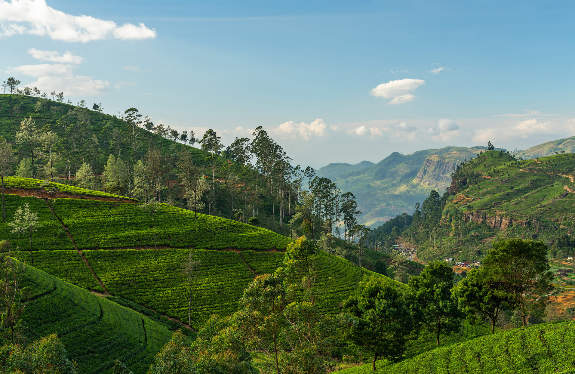 nuwara-eliya-sri-lanka