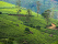 terasses-the-sri-lanka