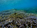 plongee-sous-marine-sri-lanka