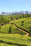 haputale-sri-lanka