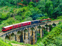 Train Ella