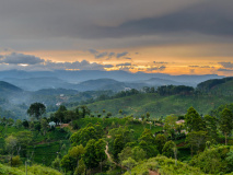 Vue Haputale