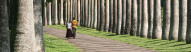 jardin-peradeniya-sri-lanka