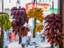 Marché de Dambulla