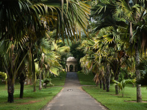Peradeniya jardin botanique